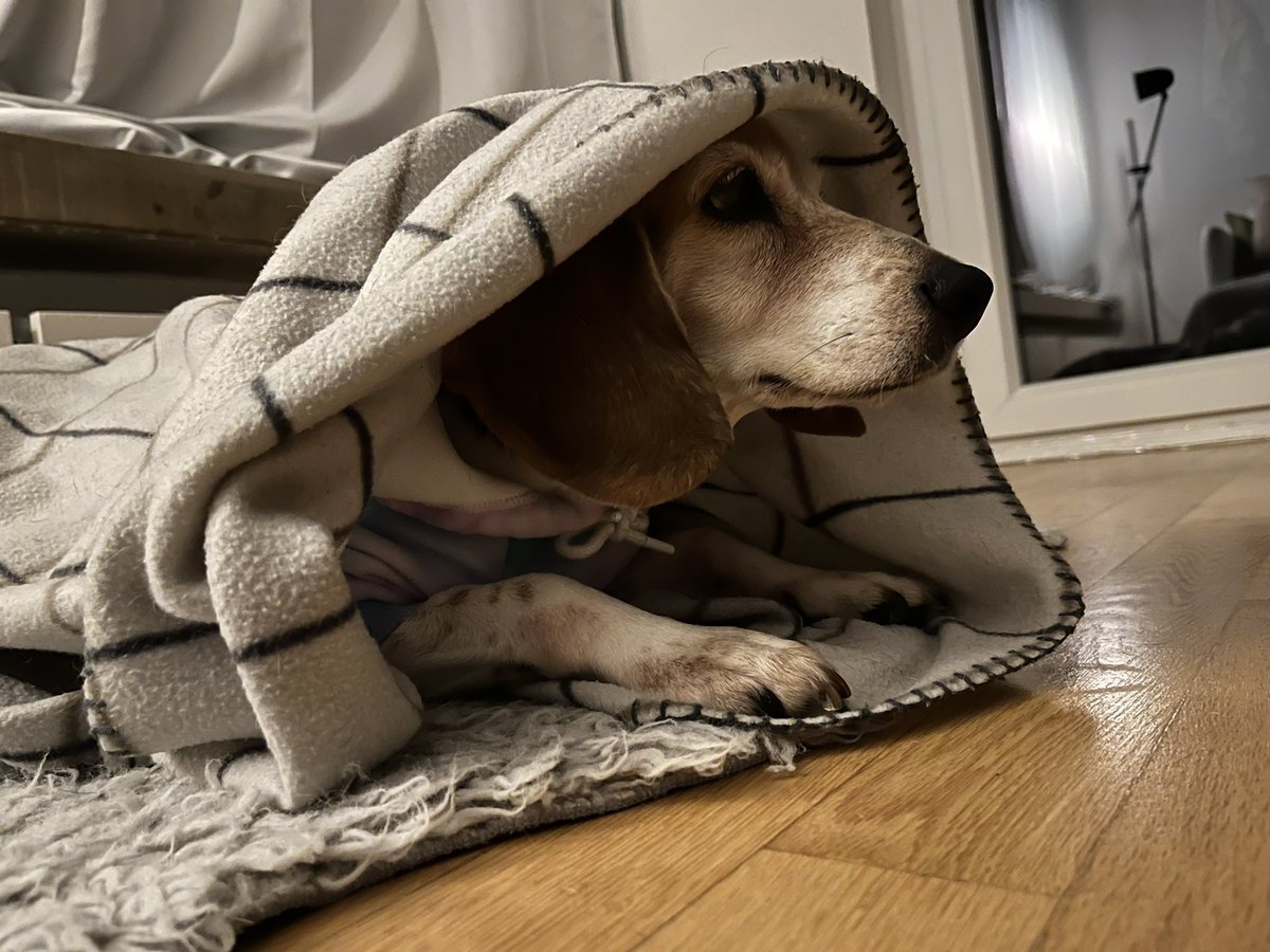 ehaffson tweet media