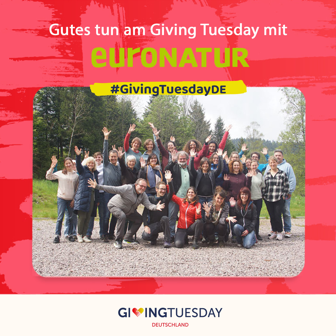 EuroNaturORG's tweet photo. In einer Woche, am 28. November, ist #GivingTuesdayDE.

Macht mit beim internationalen Tag des Gebens und werdet Teil einer weltweiten Bewegung!
Z.B. mit einer Spende für Europas Natur: https://t.co/rnBilj9IZW
Jede gute Tat zählt! https://t.co/77KbMyLy1t