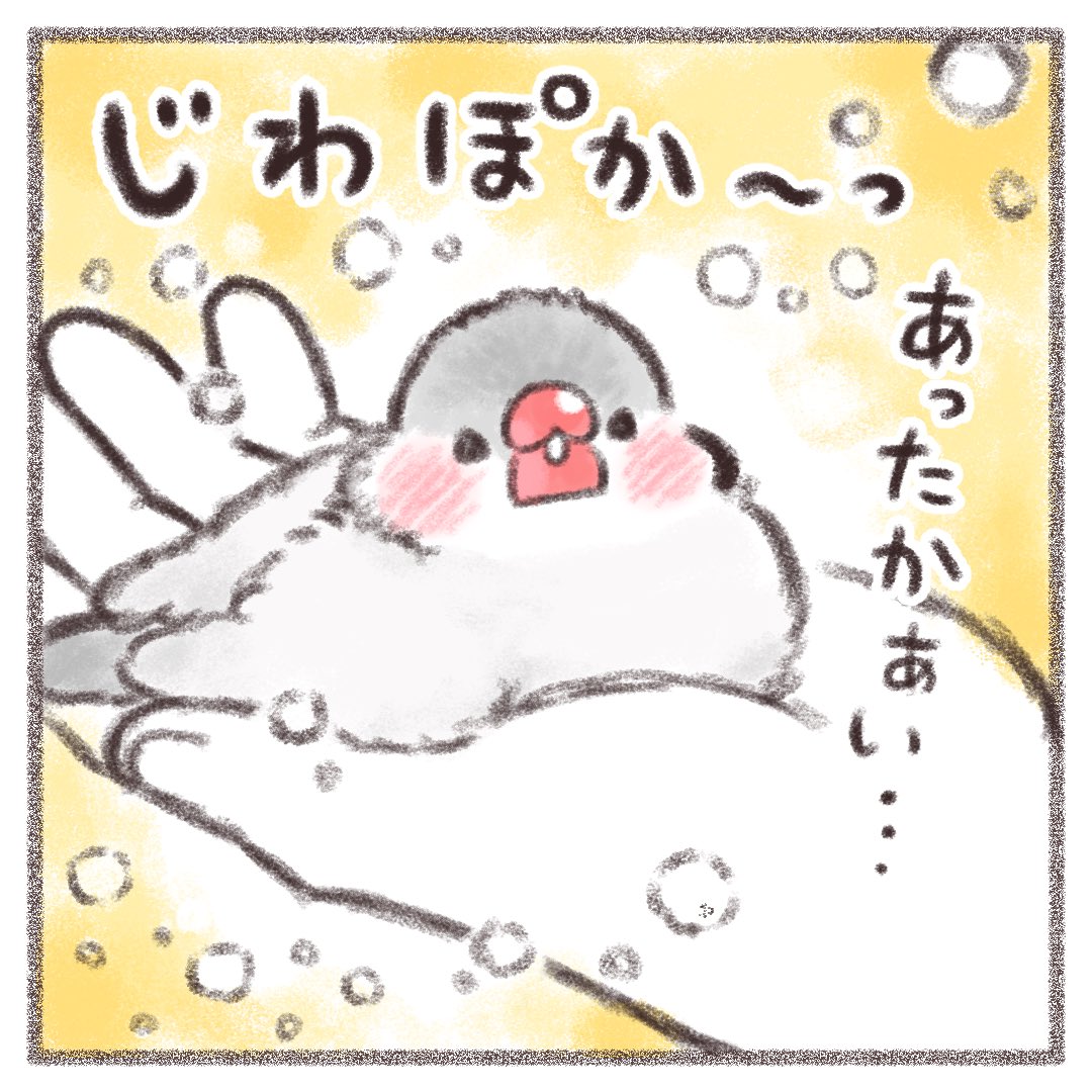 おやすみなさい😴💤

#文鳥 