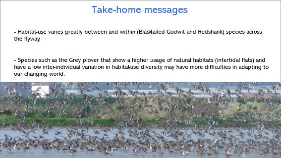 JoaoRBelo1's tweet photo. 6/6 #BOUsci2023 #SESH3
We found huge variation bt species and stages in habitat-use, highlighting for species-specifc #conservation measures.
Given the usage of nat. habitats and low inter-individual variation in the diversity of habitats, GP may have more difficulties to adapt. https://t.co/bgfnMux8cO