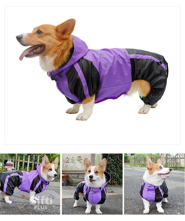 LisaNSanders1's tweet photo. 💥OFFER FOR LIMITED TIME 💥
New product! It's only available for a short time.
#Corgi #CorgiCrew #CorgiLover
Get Your Here:👇
https://t.co/TqQE6kihBv https://t.co/AXxVa0CUu8