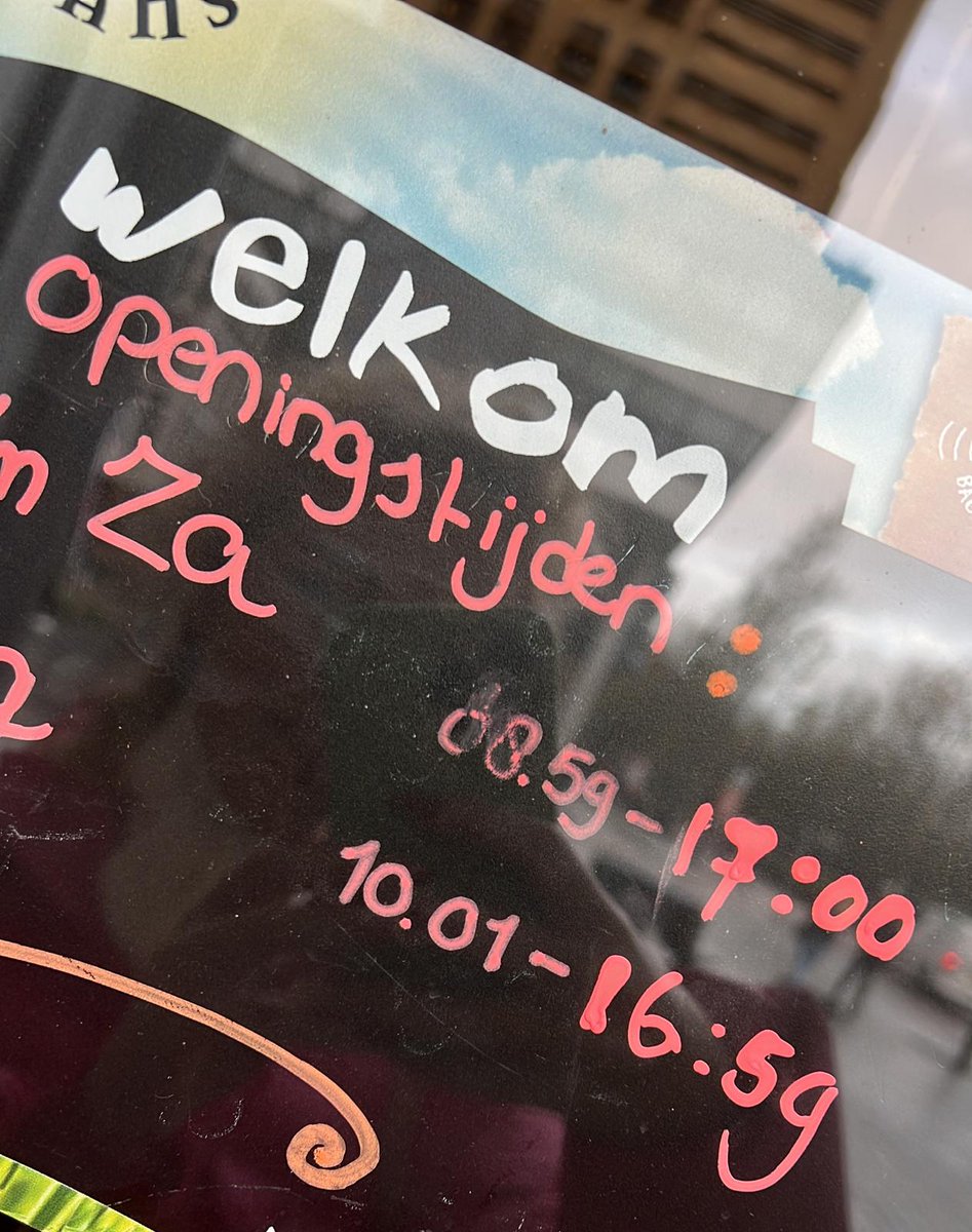 Rotterdam is a weird simulation