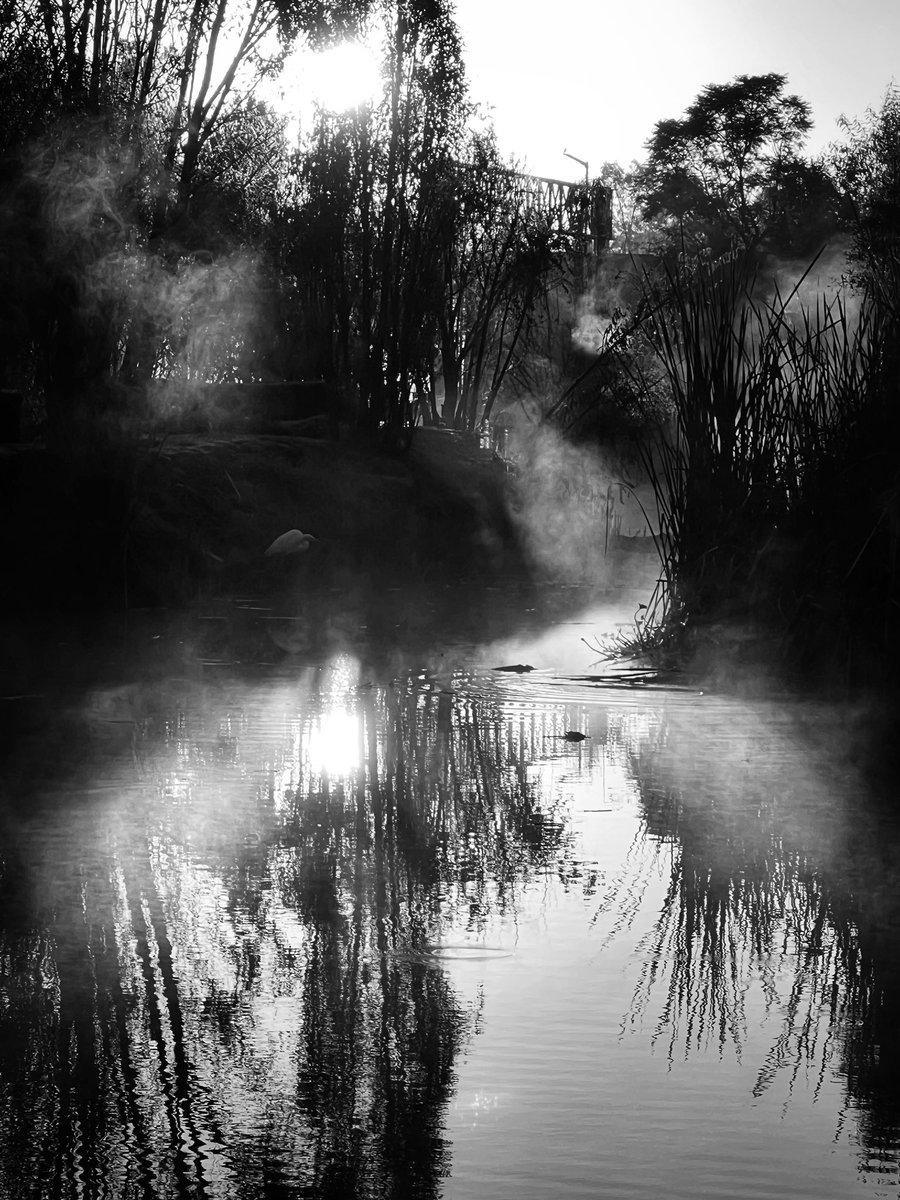 Cuidemos estos espacios verdes únicos en la CDMX.   
El paisaje lacustre de Xochimilco es el único recordatorio del uso tradicional de la tierra prehispánica en las lagunas de la #CDMX #Xochimilco #visitméxico #naturelover #ecoturismo