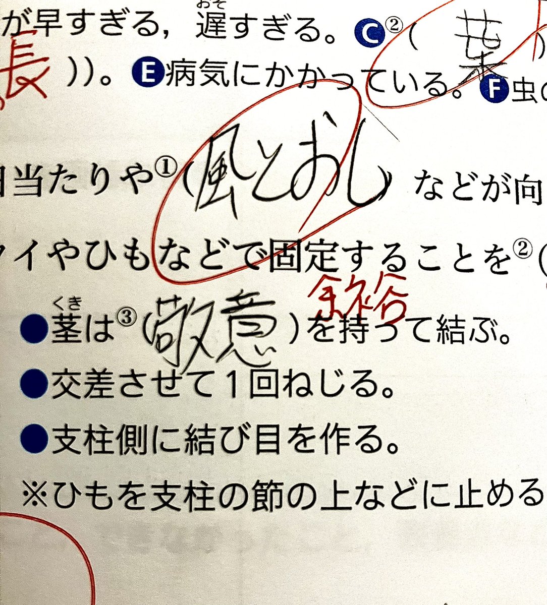 acchan_kane's tweet photo. 中2の息子の技術のワークに、意味わからん答えが…分からんかったので、イラストにしてみた…やっぱり意味分からんかった…😅　これがボケではなく、本気で書いてるのが怖い😱
#変な答え　#変な解答　#真面目に解答　#茎は敬意を持って結ぼう　#まじ解答怖すぎ　#敬意って何かね　#中2やで　#将来心配 https://t.co/hpBWB5h9gk
