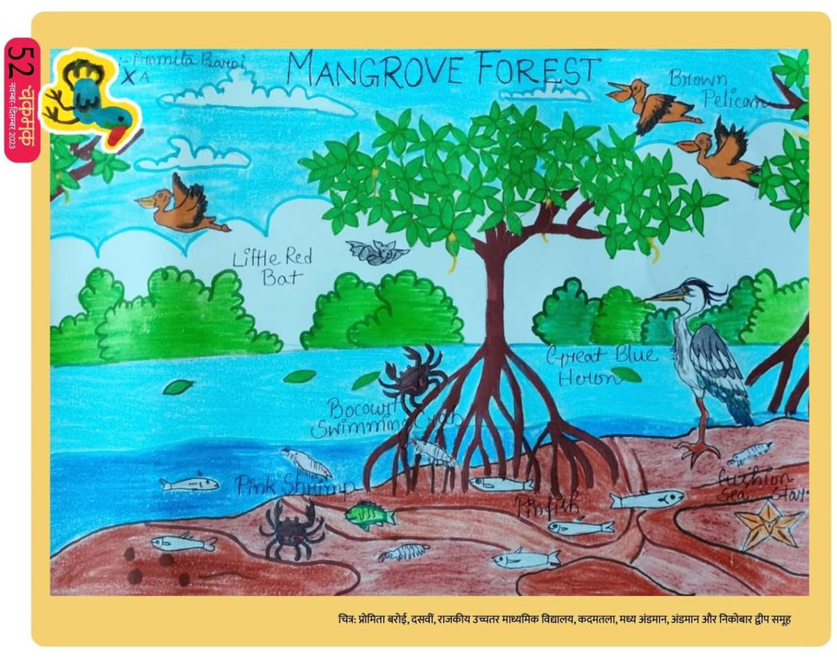 Mangrove biodiversity art work of Kumari Pramita Baroi, student of Kadamtala, R/o phooltala village published in 'Chakmak'- a well known children's science magazine. #Mangrove #biodiversity #forest #art .