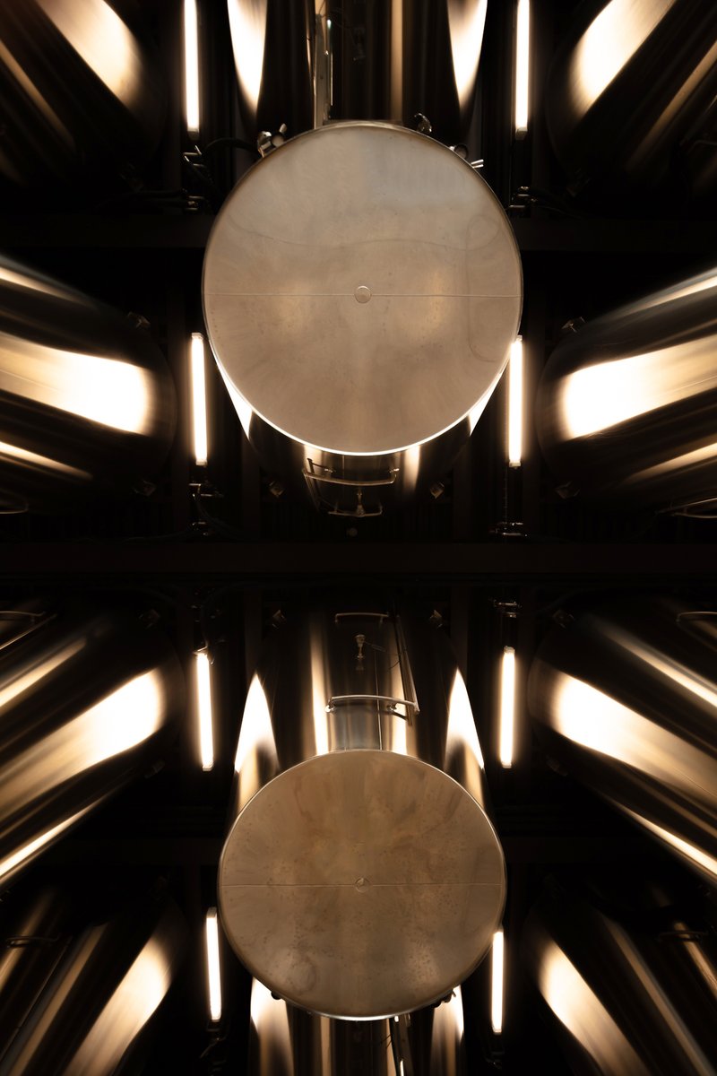 After the excitement of the harvest and the vinification, the Carillon cellars regain their calm.

Après l'effervescence des vendanges et des vinifications, le chai Carillon retrouve son calme. 

© Jean-Gabriel Soula