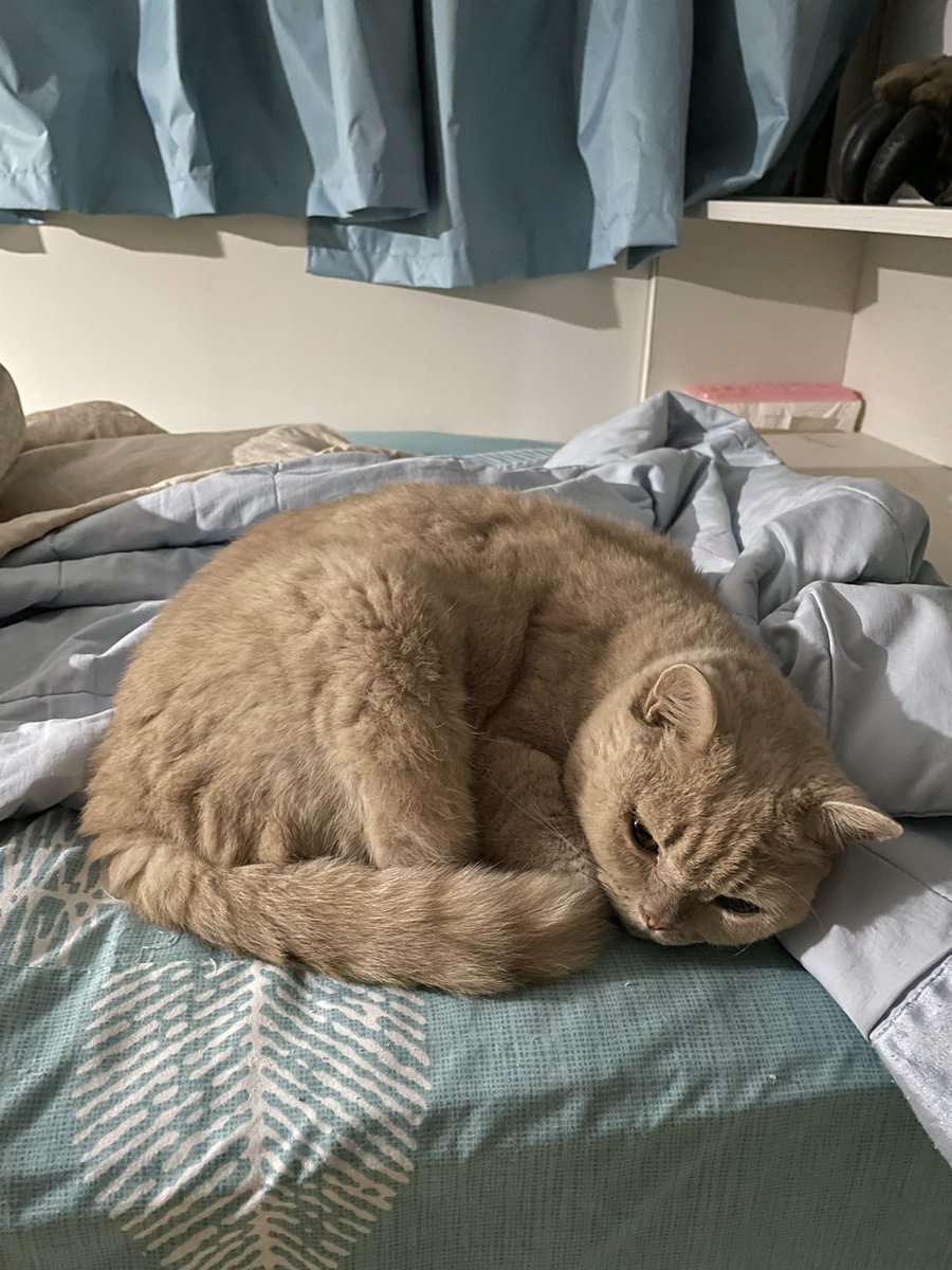 現在是5度嗎？縮成這樣。