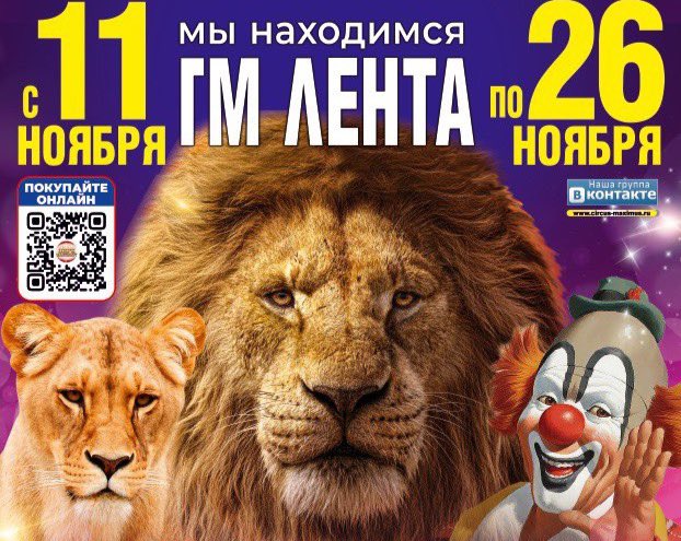 Цирк максимус во владимире 2025. Цирк максимус во владимире 2025