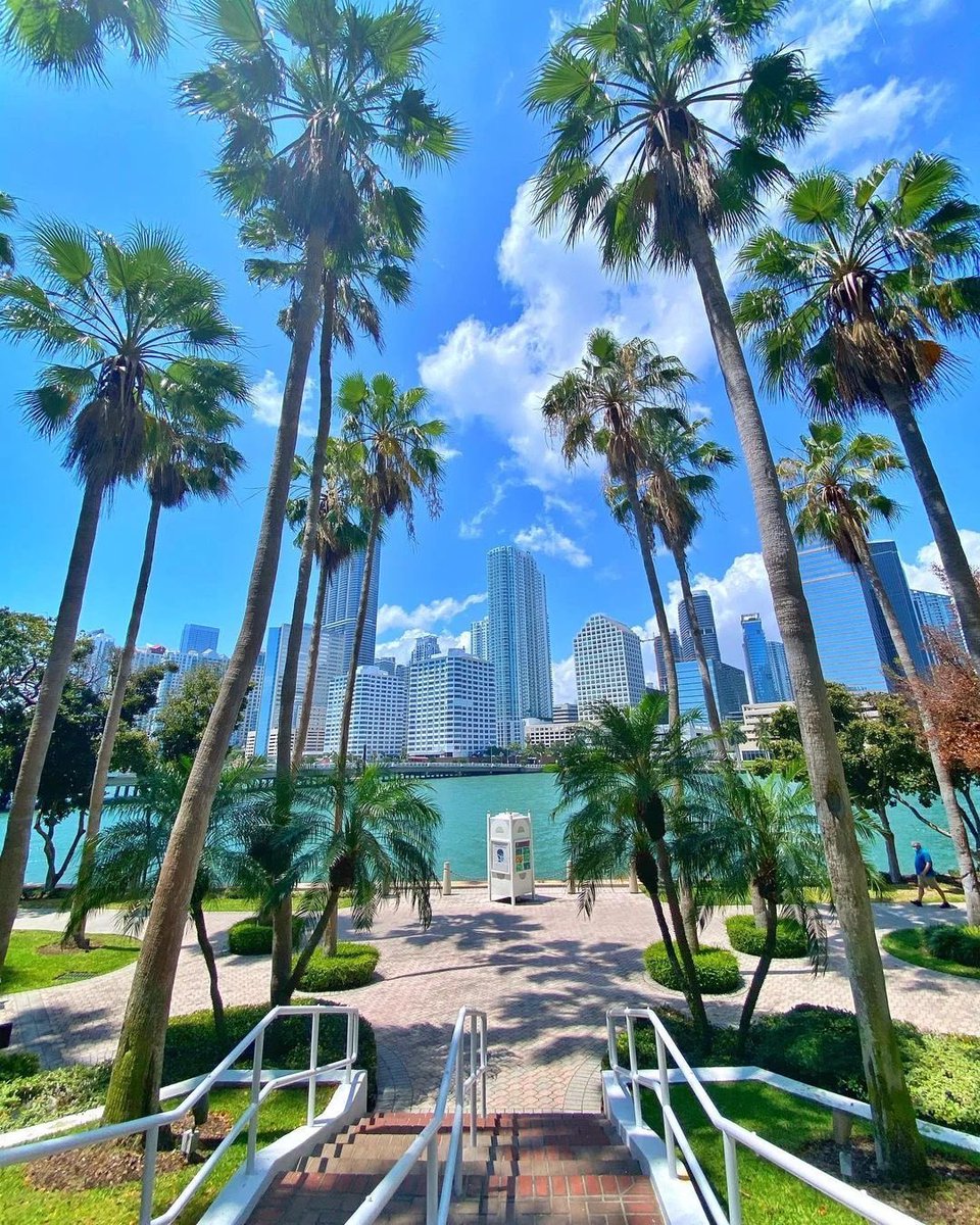Paradise in Miami.