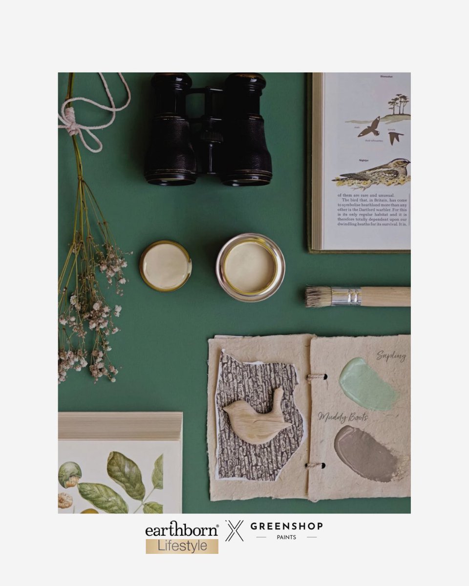 'Sunday Stroll' 🌿 Transform your space into a serene haven with Earthborns' Lifestyle Emulsion. 🎨 Eco-friendly, washable, and virtually VOC free. Shop now: greenshoppaints.co.uk/product/earthb… ✨ 
#EcoDecor #HomeStyle #GreenLiving #gsp #greenshoppaints