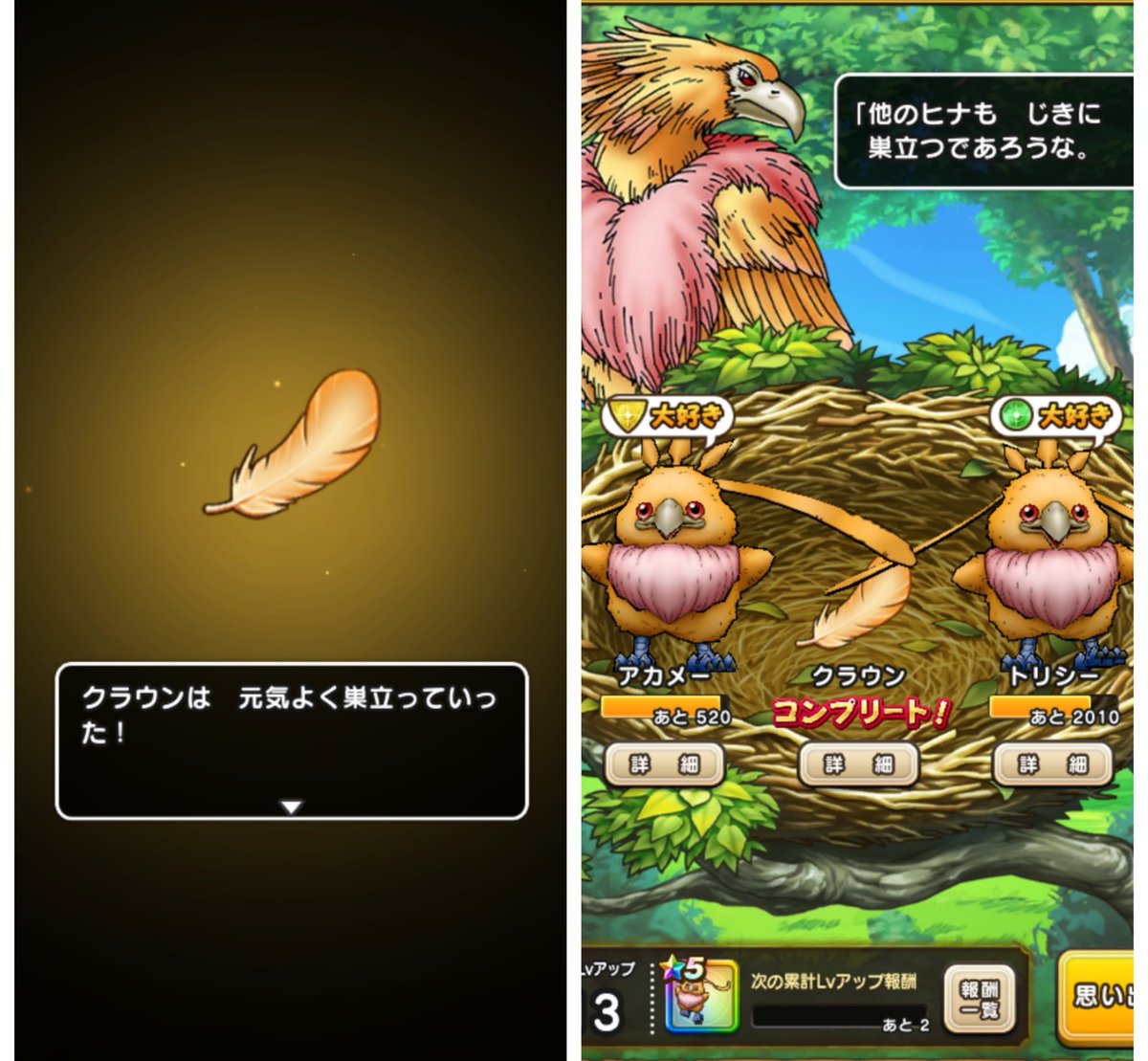 はぁ…🥺
#かわいいのが動くのやばいよね