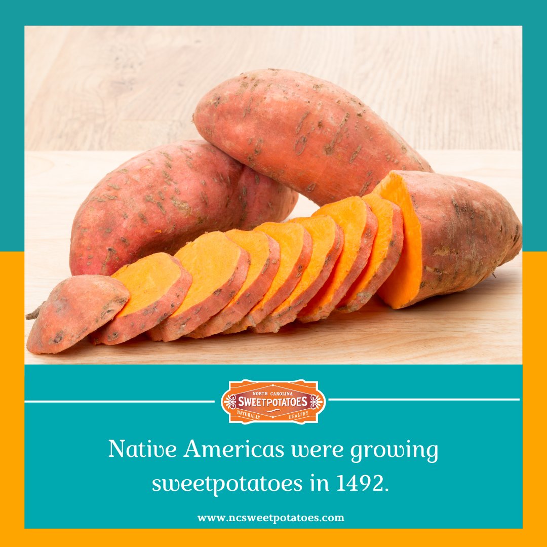 Native Americans were growing sweetpotatoes when Columbus came in 1492, and by the 16th century, sweetpotatoes were being cultivated in the southern states.  🍠

🔗 Link in bio

#ncsweetpotatoes #sweetpotatoes #history
