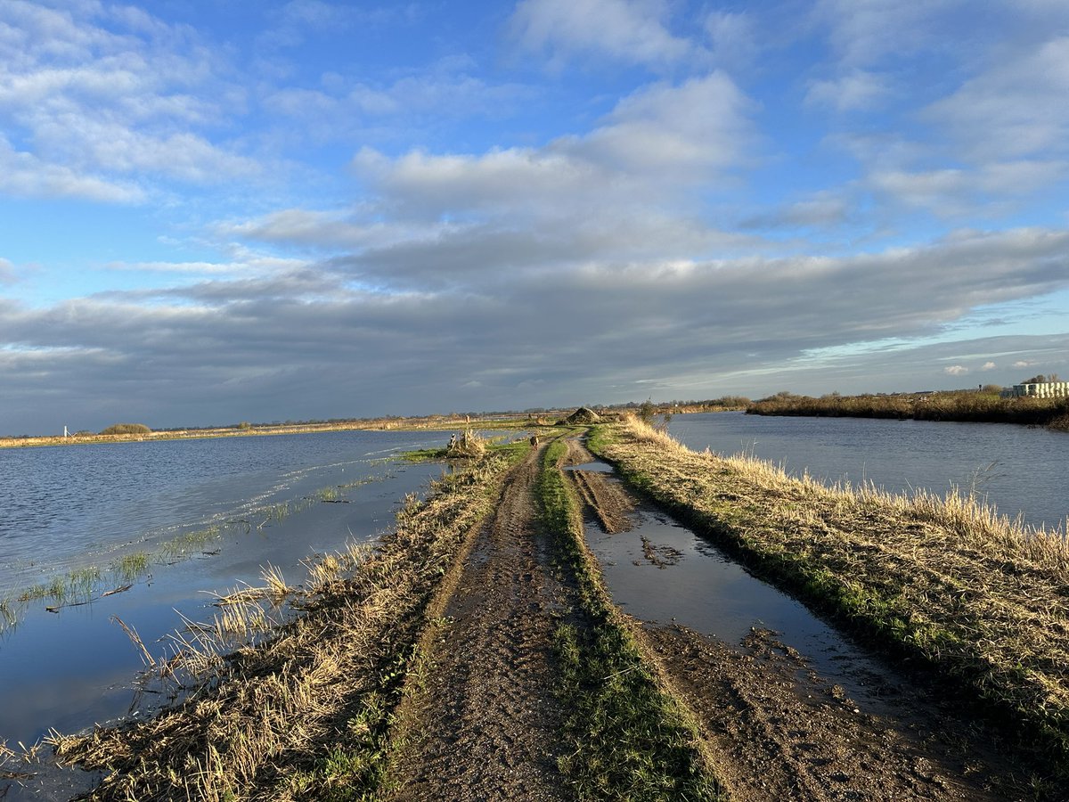 Hier wordt je wel zen van!