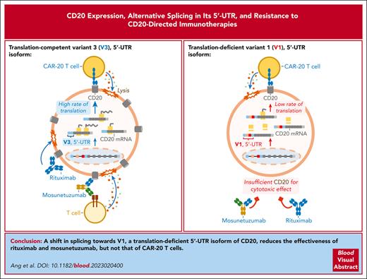Blood Journals Portfolio tweet media