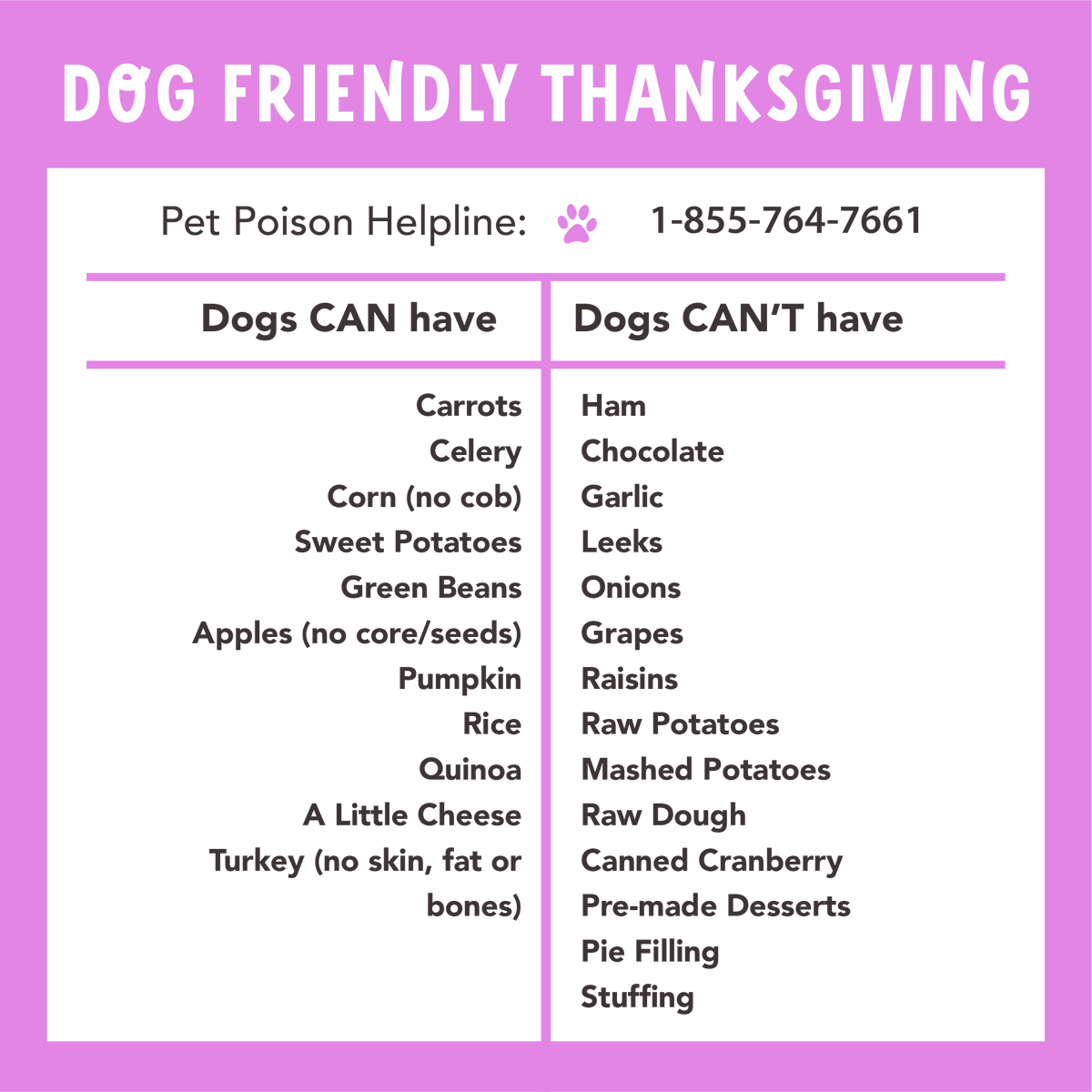 HealthExtension's tweet photo. This Thanksgiving, keep your pup safe! Check our blog for tips on pet nutrition, safe Thanksgiving food, and health tips. Visit our blog for a wonderful Thanksgiving! 🐕📚🦃

Read More 👉 https://t.co/RrcYlODE8Y https://t.co/XWN57CTVsn