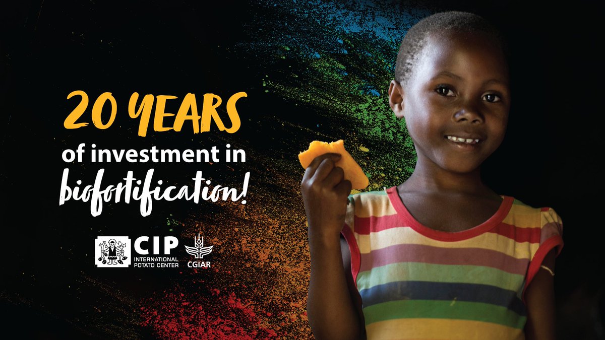 International Potato Center tweet media