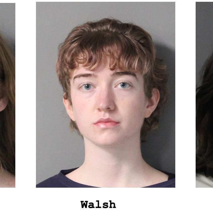 MagJorgeCastro's tweet photo. ⚠️⚠️Tres mujeres detenidas al intentar prender fuego a una empresa israelí en los EEUU… una de las arrestadas se trata de Cala Walsh quien fue encontrada en el techo y es conocida por su amistad con Díaz Canel… si hiciera lo mismo en #Cuba no saldría nunca de la cárcel👇🏻 https://t.co/38NytVHU6P