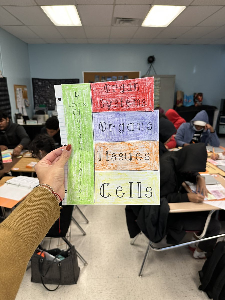 MissAlvarado__'s tweet image. 🔬 Discovering the beauty of life's organization through interactive notebooks in science! 📚✨ Excited to dive into the intricate world of cells, tissues, organs, and systems. 🌱🧪 #ScienceEducation #InteractiveNotebooks @RcollinsJudon @Prin_MoralesGHS @GortonHS @YonkersSchools