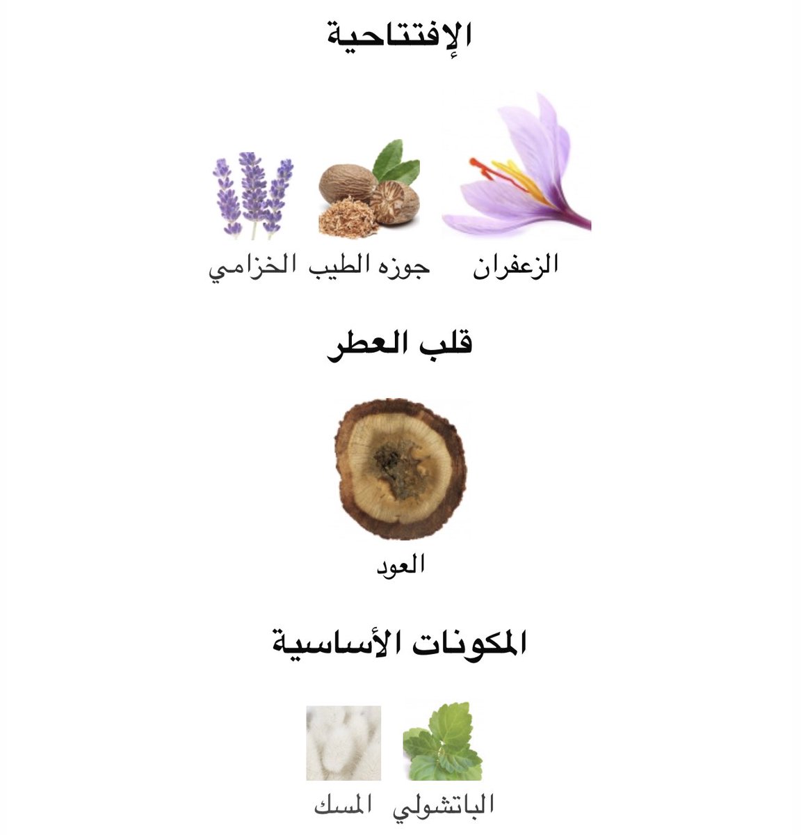 silence_7770's tweet photo. عندما تتواجد في ضيافة احدٍ ما :

واذا بك تستنشق رائحة العود الفاخرة 

ممزوجة مع رائحة عطور الباتشولي والمسك  
اللتي تشعرك بالدفئ والفخامة.

هذا هو وصف عطر ( عود فورقريتنس من انيشوا)

رائحة لها ذوق وطابع خاص.

صديق الشتاء 

#رابطة_عشاق_العطور #الاجواء_الحلوة #الشتاء https://t.co/kOENkETZZj