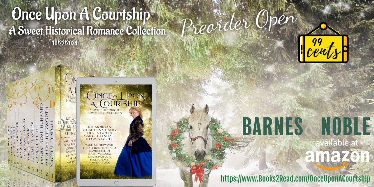 LPrysock's tweet photo. How did Christmas sneak up on all of us so quickly this year? Here's a great stocking stuffer gift idea! https://t.co/deSbi08xZf #StockingStufferIdeas #EbookCollection #TwelveBooks #99c https://t.co/OgQOhe07b2