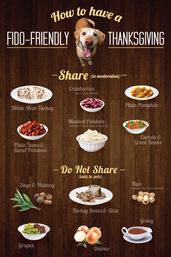 While it may be tempting to share your Thanksgiving meal with your furry friend 🐶 it's important to know what is safe for them and what isn't! 🍗 #animallover #brookebeyma #dogowner #thanksgivingdinner #petsafety #petfriendlyfood