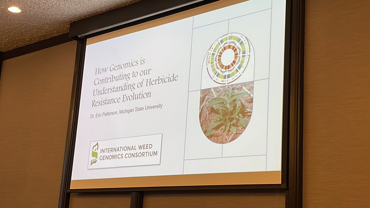 CWSS_SCM's tweet photo. Welcome @GenomEric to the #CWSS2023 meeting to talk to us about genomics. He’s promised to ease us in for our first talk of the morning https://t.co/2l4bTvaJ52