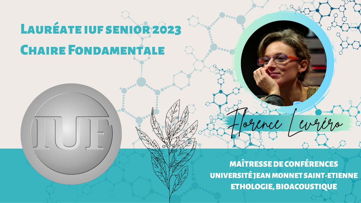 InstUnivFr's tweet photo. #LauréatsIUF2023 🏅|| Florence Levréro explore la nature et le codage des informations portées par les vocalisations chez des mammifères développant des réseaux sociaux denses.

➡️ https://t.co/8pCMnC32lK https://t.co/gYa1dQ57LA