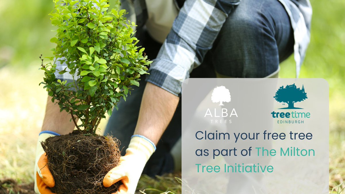AlbaTrees's tweet photo. We are proud to work alongside @greenspacetrust on their Milton Tree City Initiative. Alba has already contributed 10,000 trees to the scheme, with no signs of us slowing down! ๐
Learn more about the project here >> https://t.co/929PC8ATDw
#edinburgh #edinburghlocal #NetZero https://t.co/e4uch8DwAf