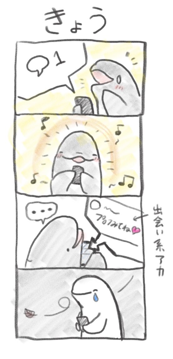 今日です。 