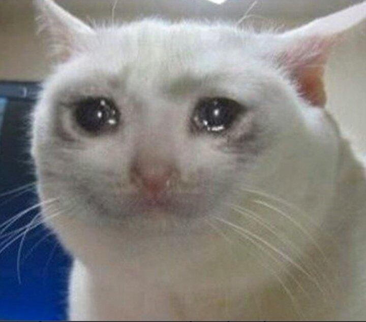 Y sí, también regresé para decir que SIAN volvió (siempre ha estado, ustedes me entienden) y yo me perdí su live😭😭