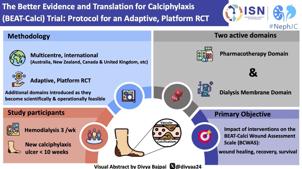 manasib33's tweet photo. Also check out the cool #VisualAbstract by @divyaa24 on the trial design #NephTrials https://t.co/pYajAmxOu2