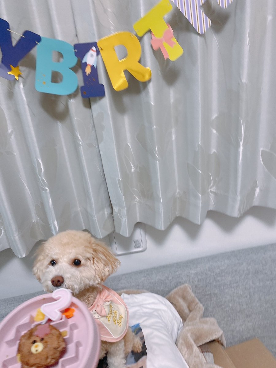 monatanmonatan's tweet photo. 2歳おめでとう❤️しあわせな1年を過ごそうね https://t.co/WbU9ZmYY53