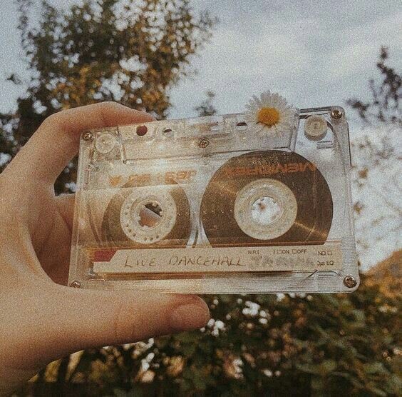 Bidelia_OC's tweet photo. Bidelia's playlist

   ---☆  https://t.co/cpd7nsYXM5 https://t.co/DJxmcF3j2D
