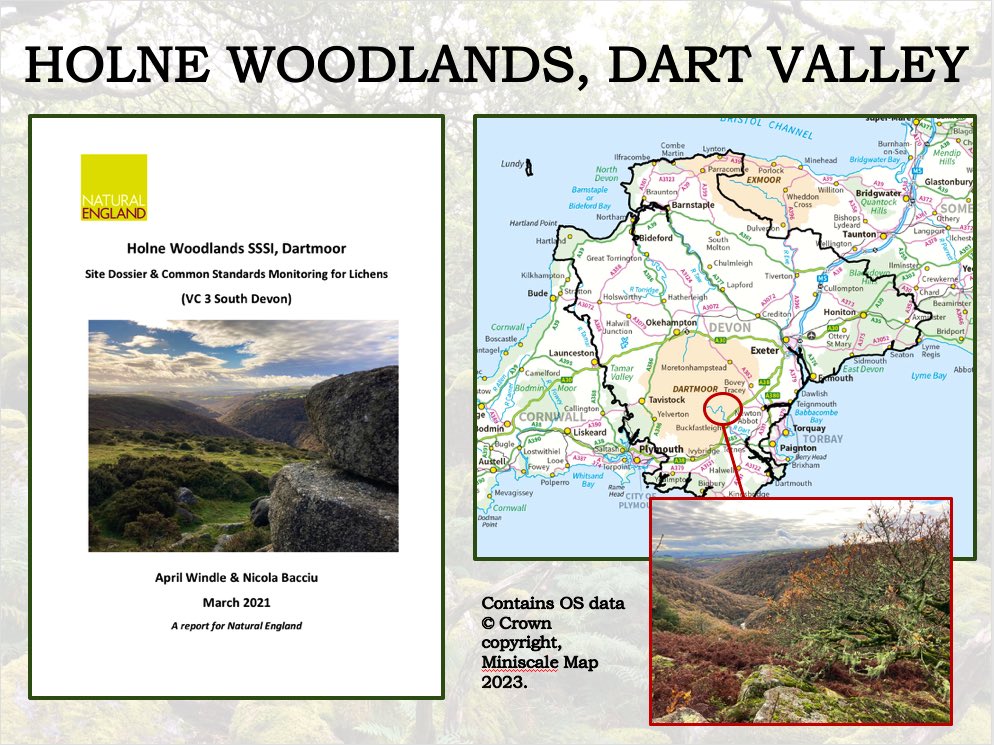 It was great to give a presentation on Atlantic #woodlands &amp; associated management for #lichens last month, on behalf of the Institute of Chartered Foresters (<a href="/TheICF/">Institute of Chartered Foresters</a>). Nearly an hour waxing lyrical about how wonderful lichens are on #Dartmoor.