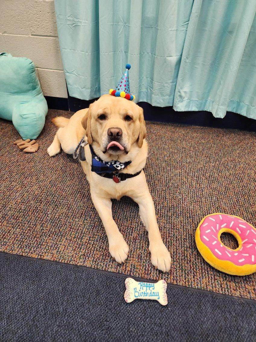 SLCSdogs's tweet photo. Happy 3rd Birthday to Garth!!!  
CMS is celebrating one day early since there is no school tomorrow. 💙🐾 https://t.co/9i7SWJIBRM