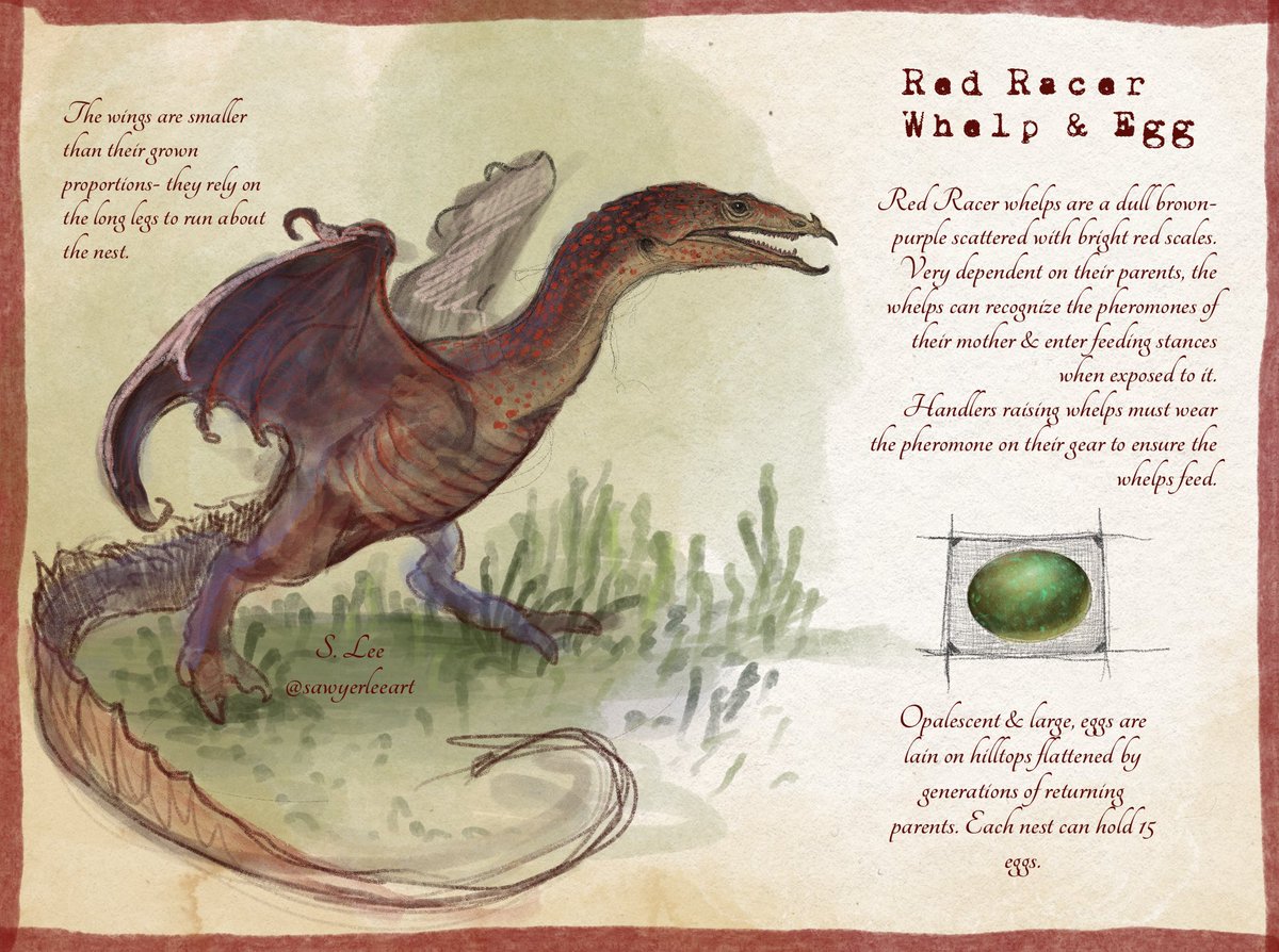Holdtaker species (Dragonslayer Codex) by SawyerLeeArt on DeviantArt