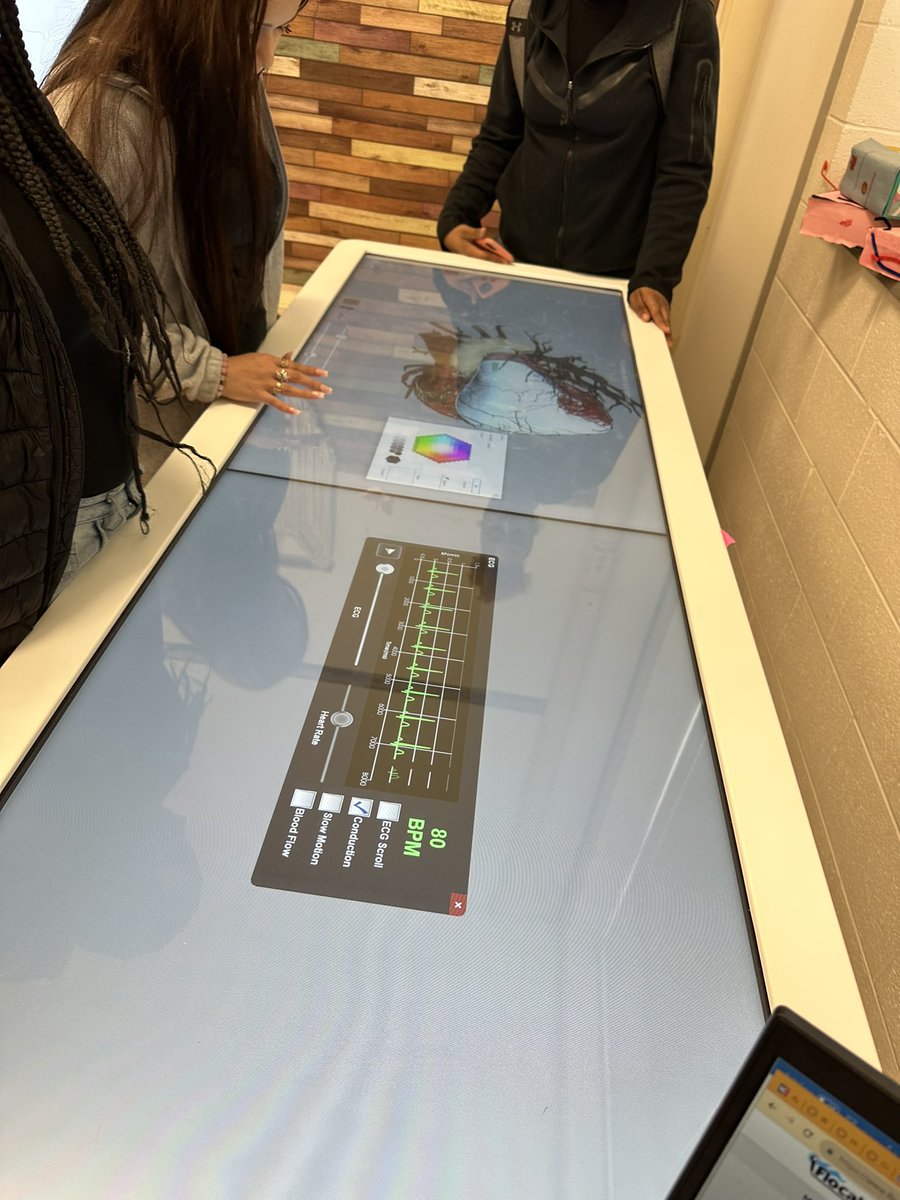 healthedgirl's tweet image. Students learned about the heart by locating the structures and coloring them #anatomagetable @Anatomage #healthscience2 #WSFCS #Glenn #anatomy #creativelearning #technology #creativeteaching #healthscience the table also taught the functions, heart beat and blood flow!!!🎉