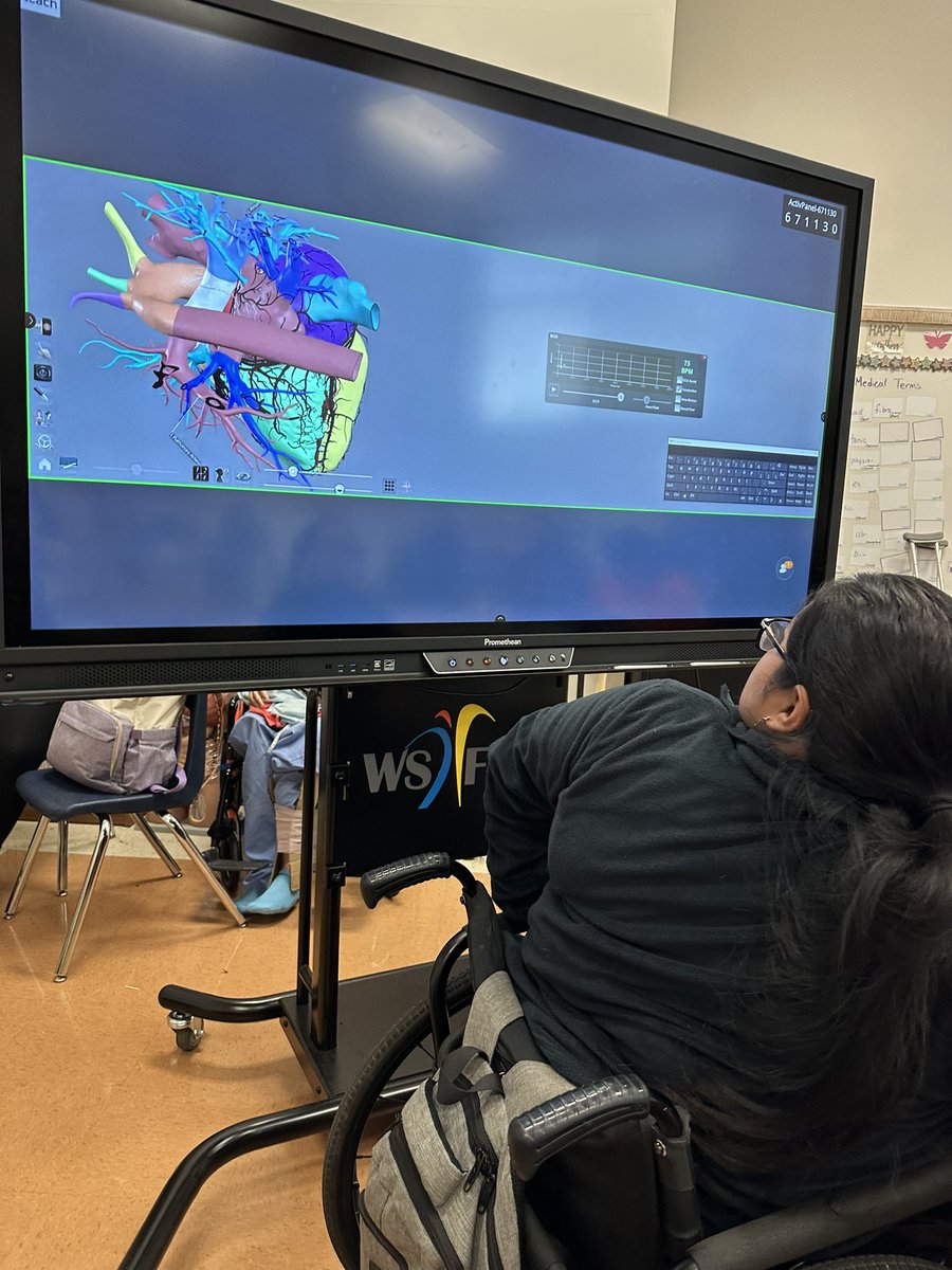 healthedgirl's tweet image. Students learned about the heart by locating the structures and coloring them #anatomagetable @Anatomage #healthscience2 #WSFCS #Glenn #anatomy #creativelearning #technology #creativeteaching #healthscience the table also taught the functions, heart beat and blood flow!!!🎉