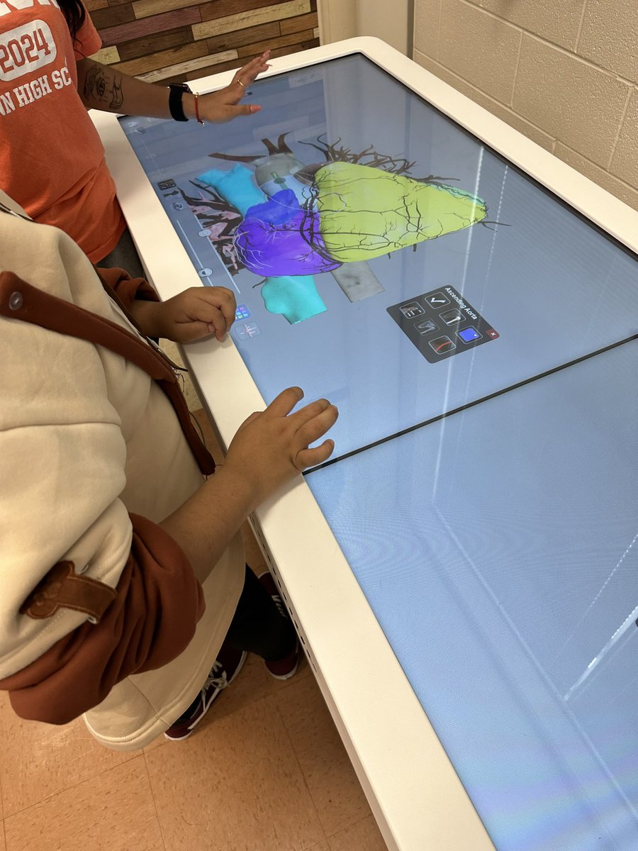 healthedgirl's tweet image. Students learned about the heart by locating the structures and coloring them #anatomagetable @Anatomage #healthscience2 #WSFCS #Glenn #anatomy #creativelearning #technology #creativeteaching #healthscience the table also taught the functions, heart beat and blood flow!!!🎉