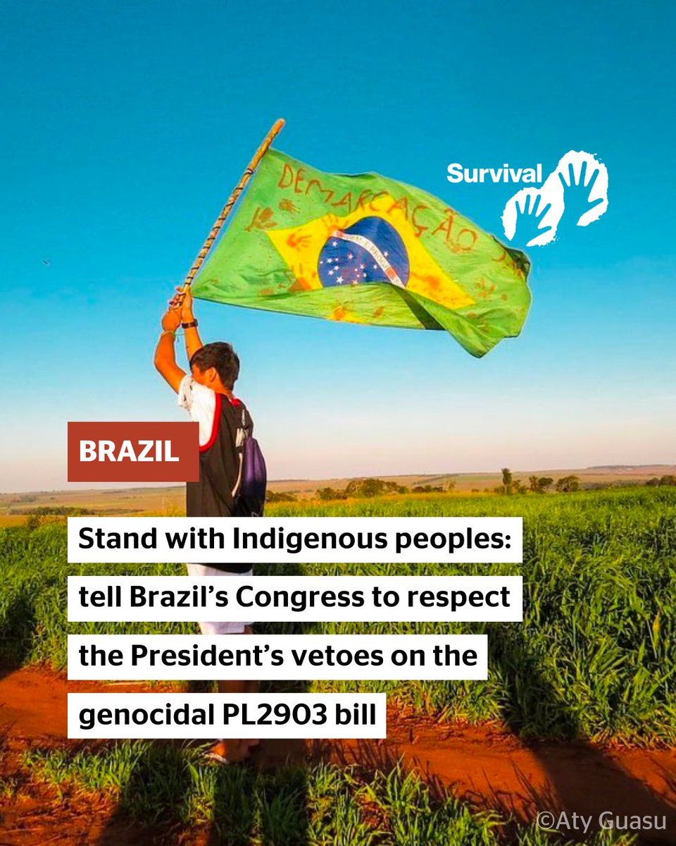 Survival's tweet photo. Last month, Brazil President @LulaOficial vetoed several parts of an anti-Indigenous bill that Brazil’s Congress &amp; Senate had tried to push through. Following Lula’s vetoes, members of Brazil’s congress will decide this week whether to accept the vetoes of this bill. https://t.co/Rt9Xwn5Bda