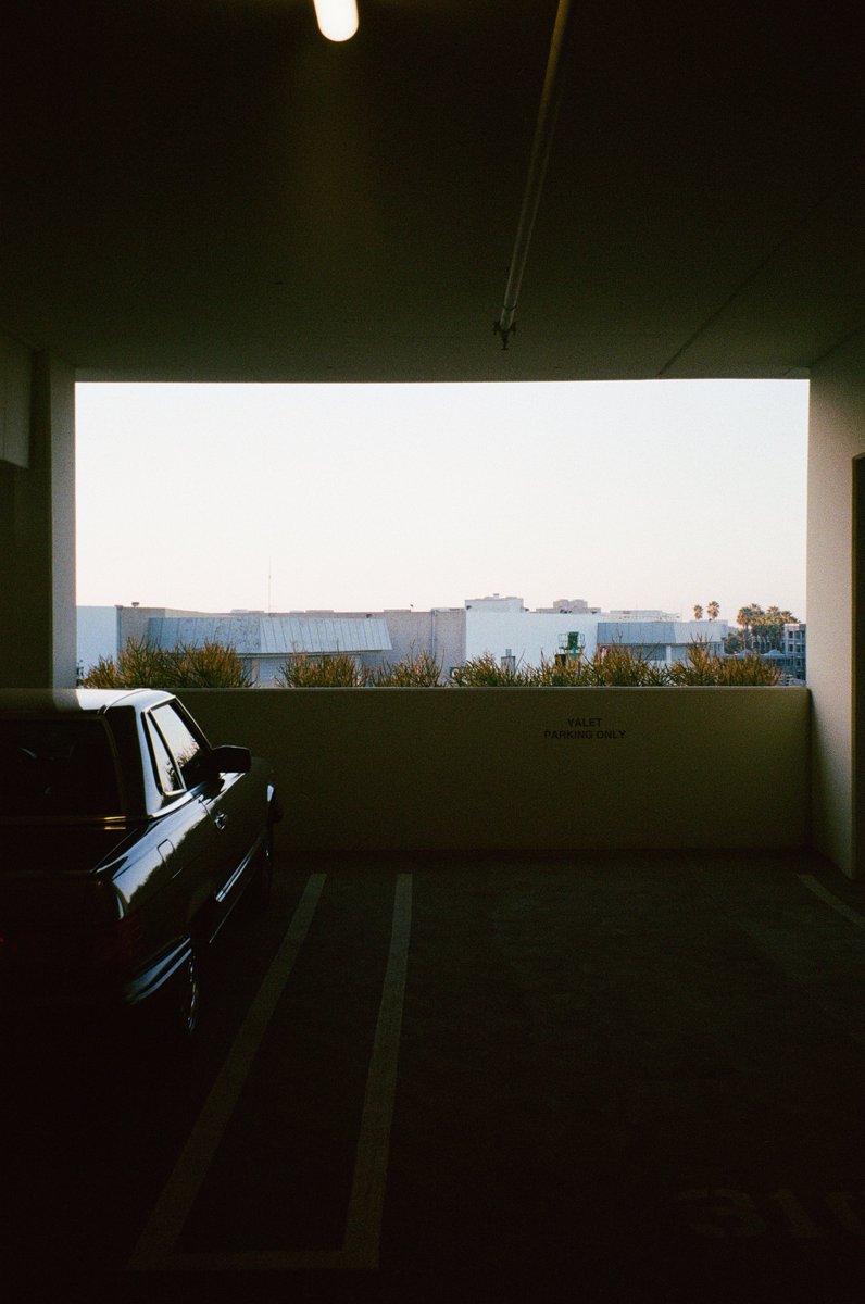 Simon_Chrd's tweet image. The camera.     📷     The photo.