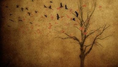 Enver_8221's tweet photo. - susalım mı olric ?
+ Konuşsanız ne değişecek efendim.
- hiç birşey olric 
 + Susalım bir kez daha efendim...
#olric https://t.co/FGTEwi5QbY