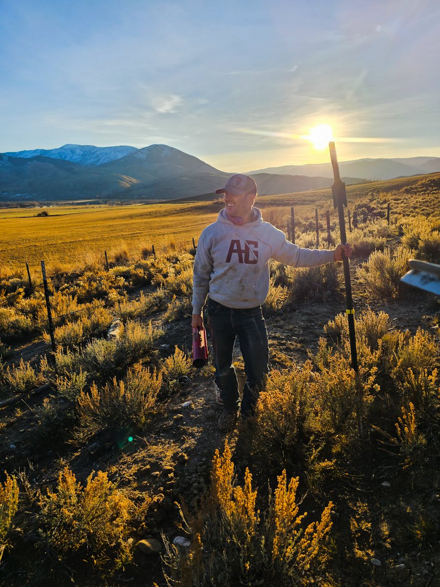 Cowboy Ninja tweet media