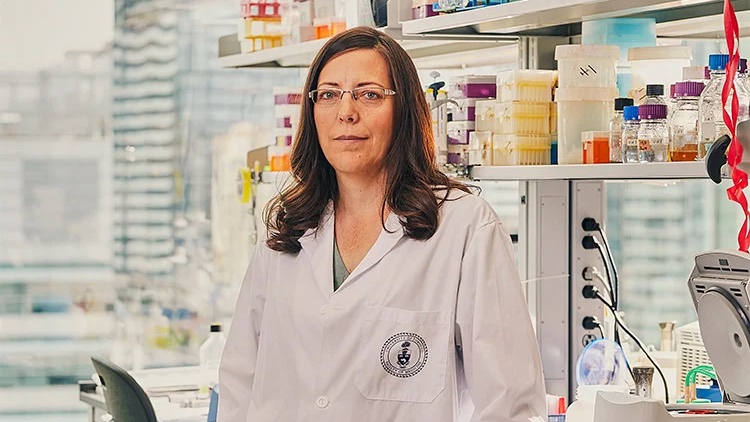 #UofT researcher Karen Maxwell recognized with Arthur B. McDonald Fellowship 🔬 uoft.me/9VQ