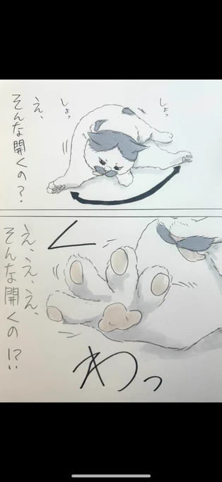 まいにちノリ吉