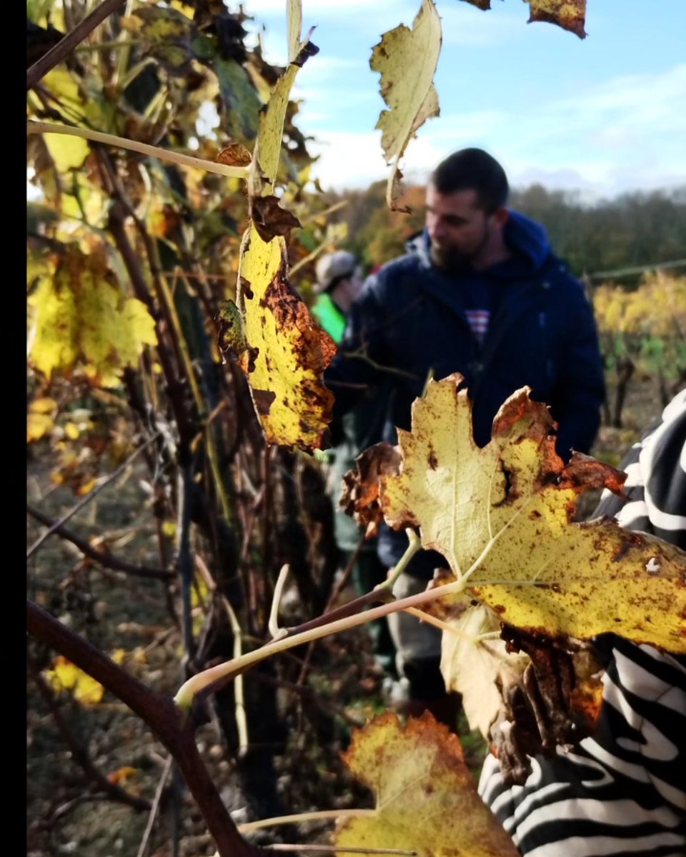MLArcCharente's tweet image. Ce matin visite du chantier d'insertion Le Chantier d'à Côté à Cherves Richemont 
Cette visite rentre dans le cadre de la semaine européenne pour l'emploi des personnes handicapées 💪

C'est l'ADAPEI qui a organisé les visites pour les jeunes demandeurs, merci pour l'accueil 🙏