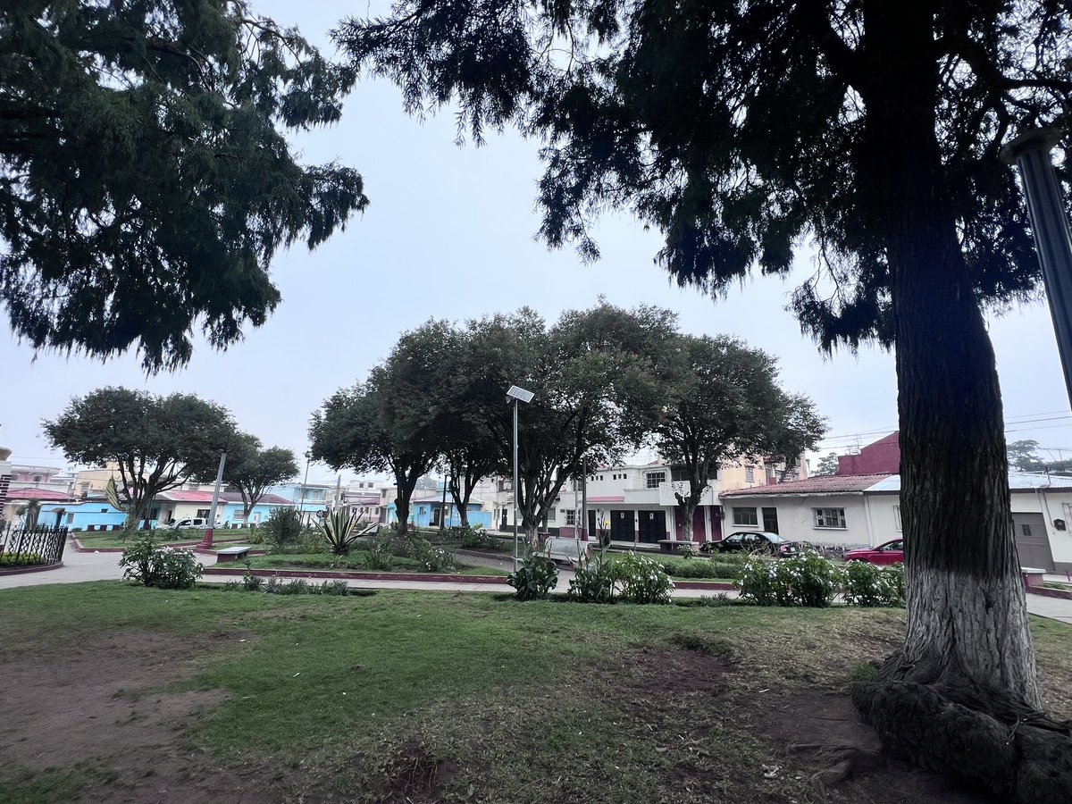 La Voz de Xela tweet media