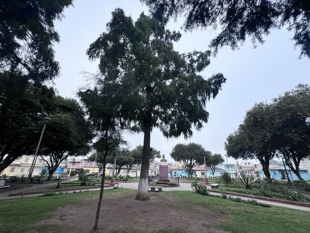 La Voz de Xela tweet media