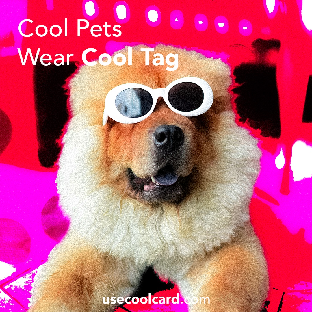 usecoolcard tweet media