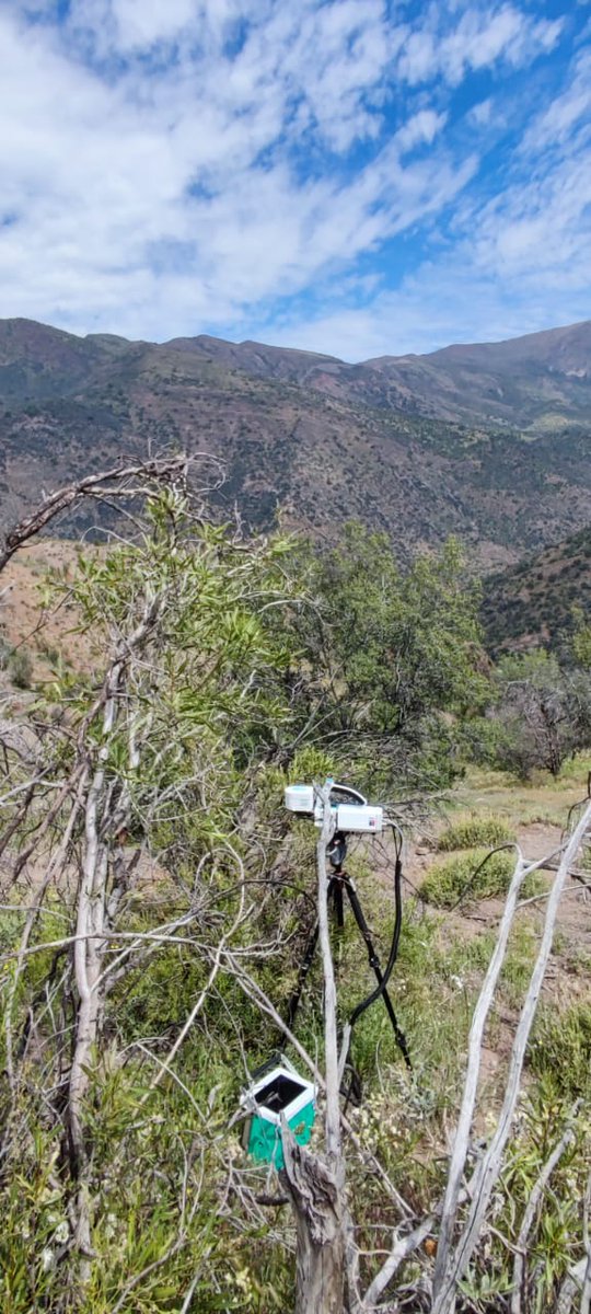 Starting our field campaign of photosynthetic capacity assessment on native and non-native plants of the central Chile Andes...who will win? <a href="/LICOR_ENV/">LI-COR</a> <a href="/IEBChile/">Instituto de Ecología y Biodiversidad - IEB</a>